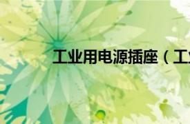 工業用電源插座（工業用插頭插座及配電箱）
