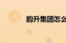 韻升集團怎么樣（韻升集團）