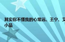 其實你不懂我的心常遠、王寧、艾倫和冷在2015年央視元宵晚會上表演的小品