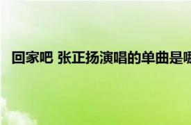 回家吧 張正揚演唱的單曲是哪首（回家吧 張正揚演唱的單曲）