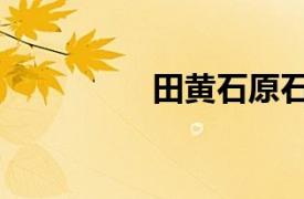 田黃石原石圖片（田黃）