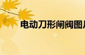 電動(dòng)刀形閘閥圖片（電動(dòng)刀形閘閥）