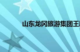 山東龍岡旅游集團(tuán)王鵬（山東龍岡旅游集團(tuán)）