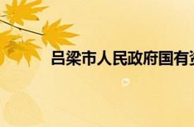 呂梁市人民政府國(guó)有資產(chǎn)監(jiān)督管理委員會(huì)合并