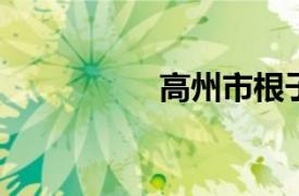 高州市根子鎮(zhèn)人民政府