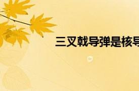 三叉戟導彈是核導彈嗎（三叉戟導彈）
