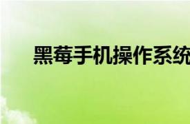 黑莓手機操作系統（黑莓10操作系統）