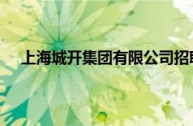 上海城開集團有限公司招聘（上海城開 集團有限公司）