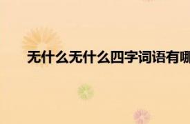 無什么無什么四字詞語有哪些（無什么無什么 四字詞語）