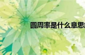 圓周率是什么意思解釋（圓周率是什么）