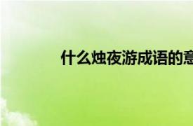 什么燭夜游成語的意思（什么燭夜游成語）