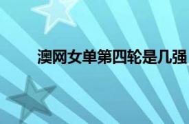 澳網女單第四輪是幾強（澳網女單四強獎金多少）