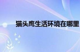 貓頭鷹生活環境在哪里（貓頭鷹生活在什么地方）