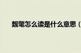 覿氅怎么讀是什么意思（峇峇怎么讀 峇峇什么意思）