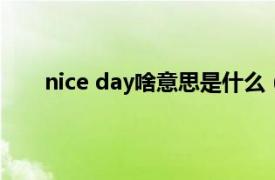 nice day啥意思是什么（niceday是什么意思中文）