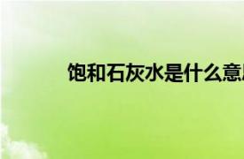飽和石灰水是什么意思（飽和石灰水是什么）
