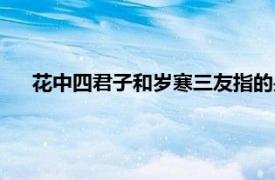 花中四君子和歲寒三友指的是什么（歲寒三友是指哪三個）