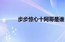 步步驚心十阿哥是誰（步步驚心十阿哥結局）