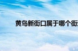 黃島新街口屬于哪個(gè)街道（新街口屬于哪個(gè)街道）