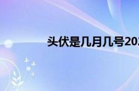 頭伏是幾月幾號2023（頭伏是幾月幾號）