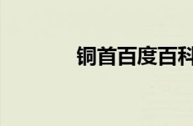 銅首百度百科（銅首是什么）