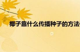 椰子靠什么傳播種子的方法作文（椰子靠什么傳播種子的）