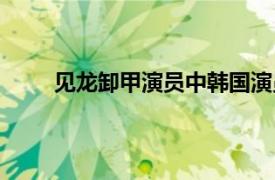 見龍卸甲演員中韓國演員是誰（見龍卸甲的演員）