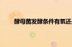 酵母菌發酵條件有氧還是無氧（酵母菌發酵條件）