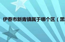 伊春市新青鎮屬于哪個區（黑龍江省伊春市新青區屬于哪個區）