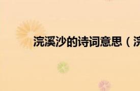 浣溪沙的詩詞意思（浣溪沙的詩意是什么簡短）