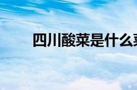 四川酸菜是什么菜（酸菜是什么菜）