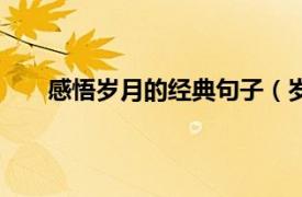 感悟歲月的經典句子（歲月不居時節如流什么意思）