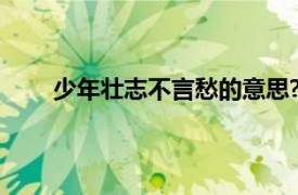 少年壯志不言愁的意思?（少年壯志不言愁的意思）