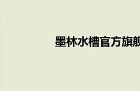 墨林水槽官方旗艦店（墨林水槽好嗎）