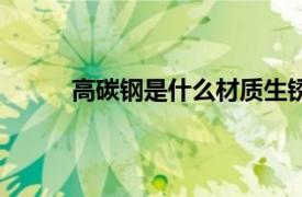 高碳鋼是什么材質生銹嗎（高碳鋼是什么材質）
