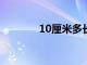 10厘米多長?（10厘米多長）