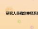 研究人員確定神經系統疾病中神經元破壞的關鍵介質