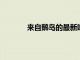 來自鵝島的最新啤酒以及芝加哥廚師的菜肴