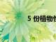 5 份植物性感恩節素食食譜
