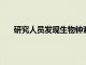 研究人員發現生物鐘紊亂與炎癥性疾病之間的新聯系
