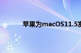 蘋果為macOS11.5發布第四個開發者測試版
