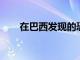 在巴西發現的恐龍時代青蛙的新物種