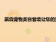 戴森寵物美容套裝讓您的寵物在沐浴后的儀式變得平和無壓力