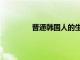 普通韓國人的生活（韓國人的真實生活）
