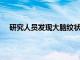 研究人員發(fā)現(xiàn)大腦紋狀體纖毛在時(shí)間感知中的關(guān)鍵作用