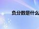 負分數(shù)是什么?（負分數(shù)包括什么）