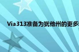Via313準備為猶他州的更多粉絲提供真正的底特律風格披薩