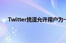 Twitter挑逗允許用戶為一個帳戶創(chuàng)建多個別名的概念