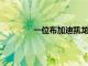 一位布加迪凱龍星車(chē)主將醒來(lái)聽(tīng)到壞消息