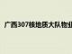 廣西307核地質大隊物業承包公司（廣西307核地質大隊）